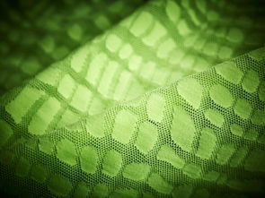 日用百貨 生活中的精致與實用